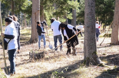 სურათი