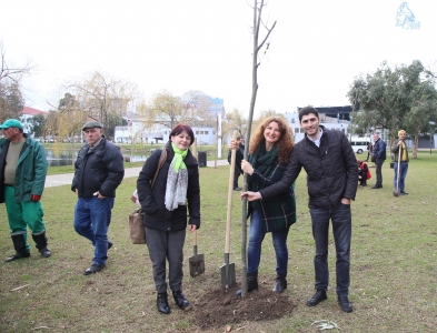 სურათი