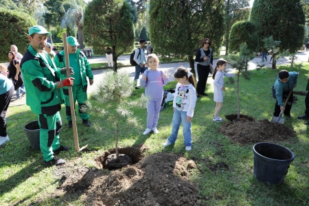 სურათი