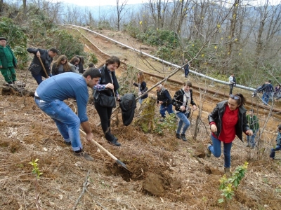 სურათი