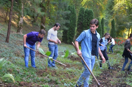 სურათი