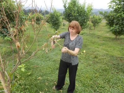 სურათი