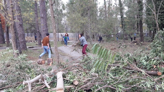 სურათი