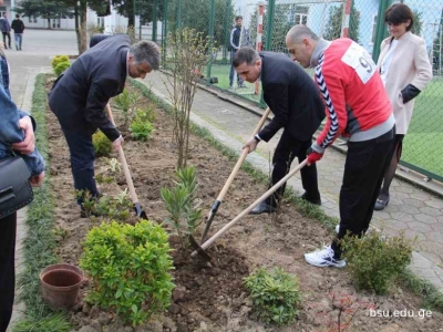 სურათი